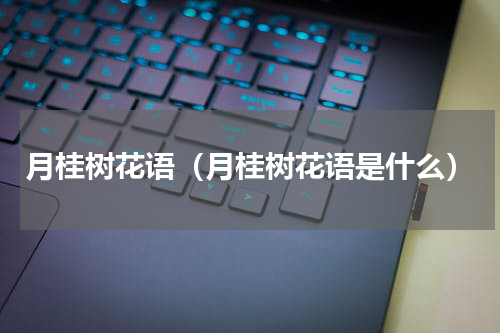 月桂树花语（月桂树花语是什么）