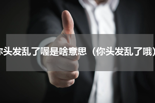 你头发乱了喔是啥意思（你头发乱了哦）