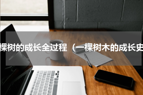 一棵树的成长全过程（一棵树木的成长史）