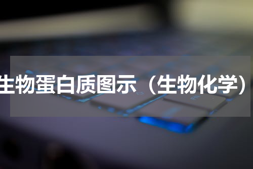 生物蛋白质图示（生物化学）
