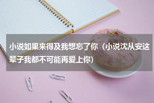 小说如果来得及我想忘了你（小说沈从安这辈子我都不可能再爱上你）