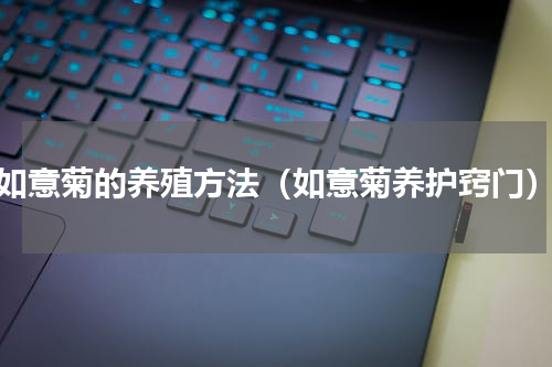 如意菊的养殖方法（如意菊养护窍门）