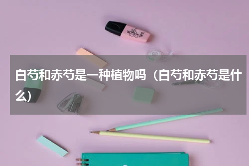 白芍和赤芍是一种植物吗（白芍和赤芍是什么）
