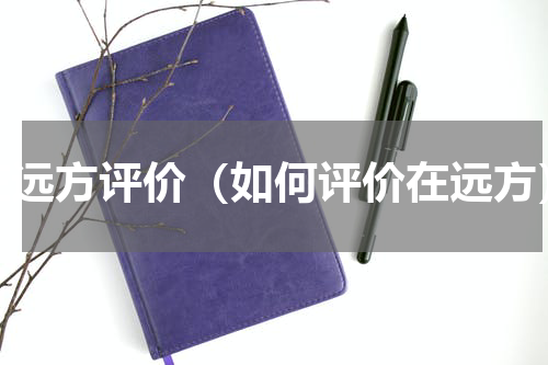 在远方评价（如何评价在远方）