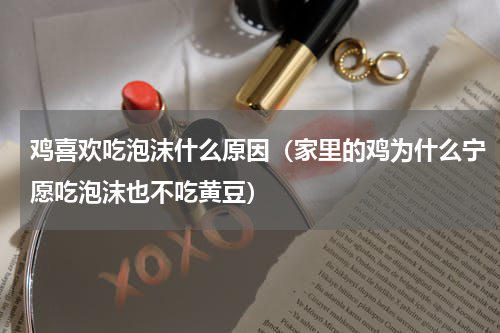 鸡喜欢吃泡沫什么原因（家里的鸡为什么宁愿吃泡沫也不吃黄豆）