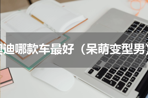 奥迪哪款车最好（呆萌变型男）