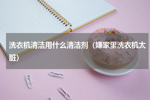 洗衣机清洁用什么清洁剂（嫌家里洗衣机太脏）
