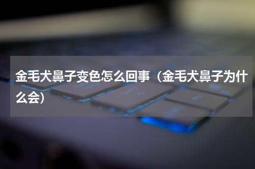 金毛犬鼻子变色怎么回事（金毛犬鼻子为什么会）