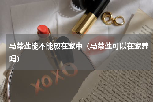 马蒂莲能不能放在家中（马蒂莲可以在家养吗）