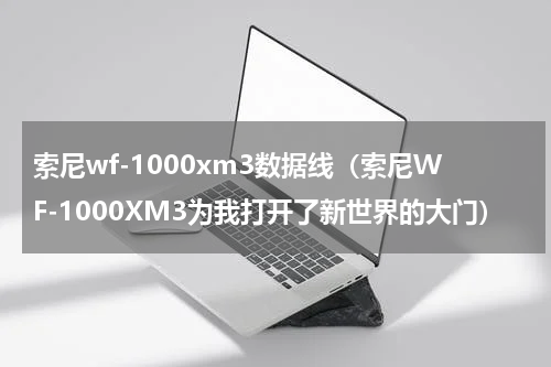 索尼wf-1000xm3数据线（索尼WF-1000XM3为我打开了新世界的大门）