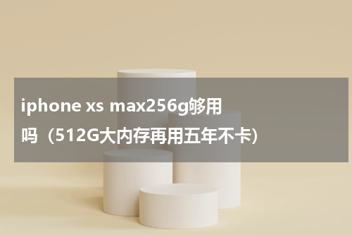 iphone xs max256g够用吗（512G大内存再用五年不卡）