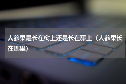 人参果是长在树上还是长在藤上（人参果长在哪里）