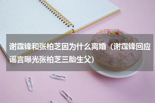 谢霆锋和张柏芝因为什么离婚（谢霆锋回应谣言曝光张柏芝三胎生父）
