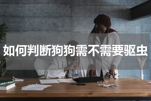 如何判断狗狗需不需要驱虫