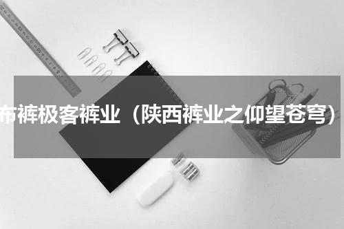 布裤极客裤业（陕西裤业之仰望苍穹）
