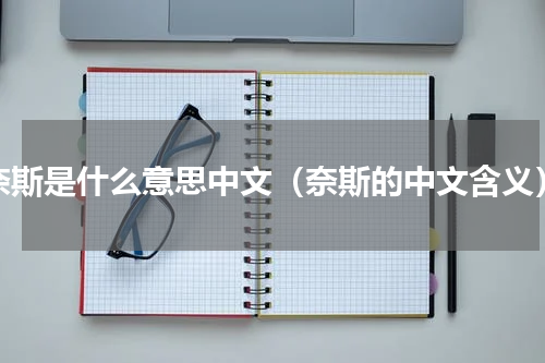 奈斯是什么意思中文（奈斯的中文含义）