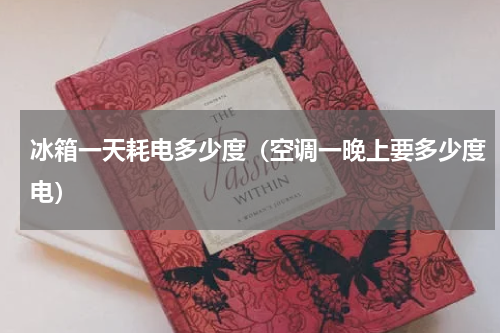 冰箱一天耗电多少度（空调一晚上要多少度电）