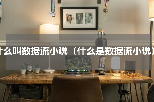什么叫数据流小说（什么是数据流小说）