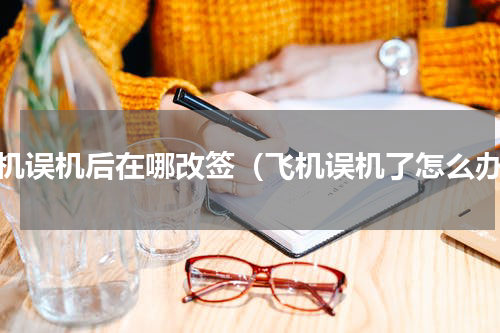飞机误机后在哪改签（飞机误机了怎么办）