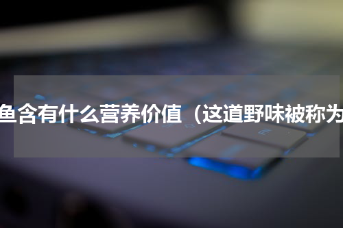 鲍鱼含有什么营养价值（这道野味被称为）