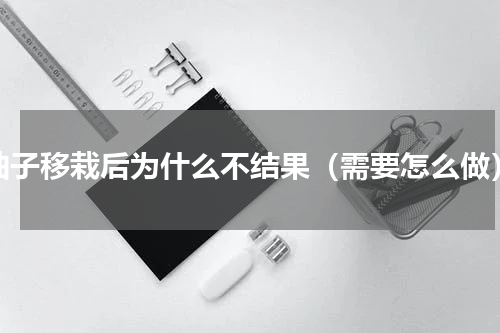 柚子移栽后为什么不结果（需要怎么做）