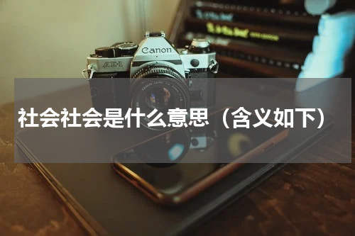 社会社会是什么意思（含义如下）