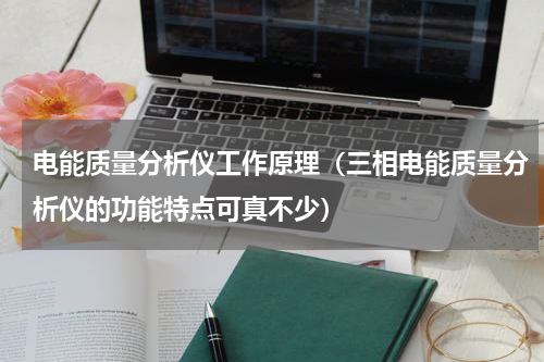 电能质量分析仪工作原理（三相电能质量分析仪的功能特点可真不少）