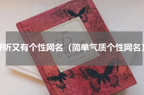 好听又有个性网名（简单气质个性网名）