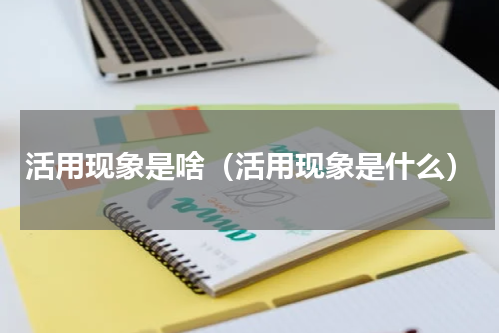 活用现象是啥（活用现象是什么）