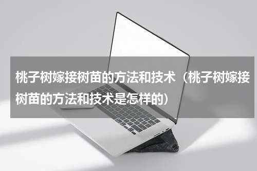 桃子树嫁接树苗的方法和技术（桃子树嫁接树苗的方法和技术是怎样的）