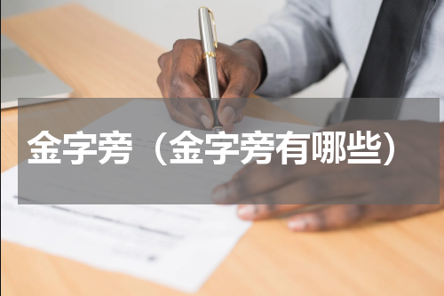 金字旁（金字旁有哪些）