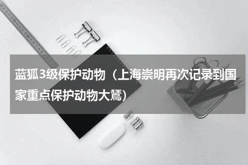 蓝狐3级保护动物（上海崇明再次记录到国家重点保护动物大鵟）