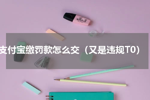 支付宝缴罚款怎么交（又是违规T0）