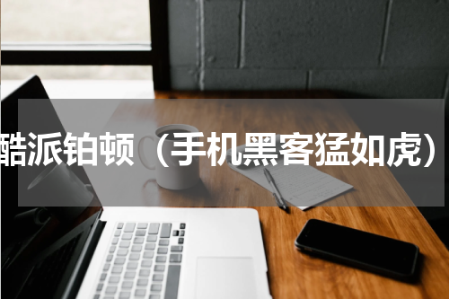酷派铂顿（手机黑客猛如虎）
