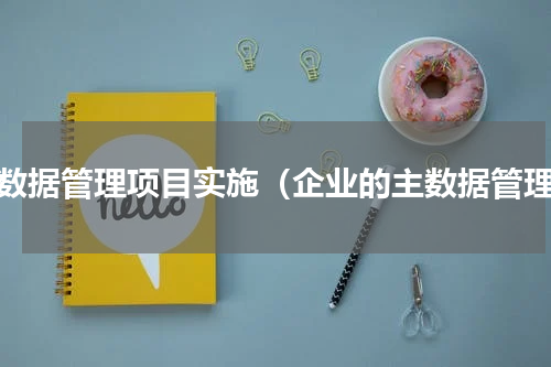 主数据管理项目实施（企业的主数据管理）