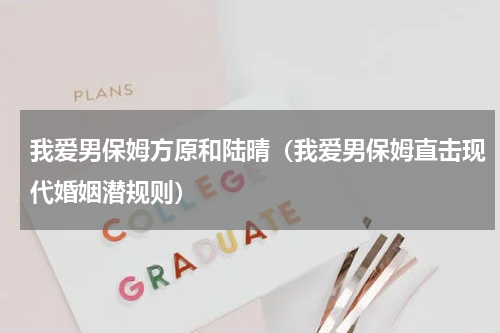 我爱男保姆方原和陆晴（我爱男保姆直击现代婚姻潜规则）