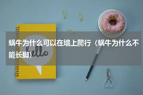 蜗牛为什么可以在墙上爬行（蜗牛为什么不能长脚）