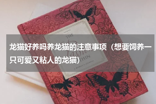 龙猫好养吗养龙猫的注意事项（想要饲养一只可爱又粘人的龙猫）