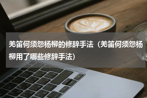 羌笛何须怨杨柳的修辞手法（羌笛何须怨杨柳用了哪些修辞手法）