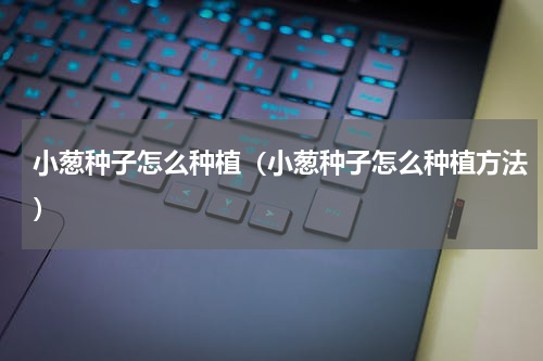 小葱种子怎么种植（小葱种子怎么种植方法）