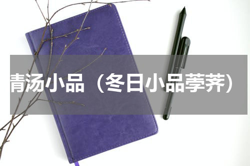 清汤小品（冬日小品荸荠）