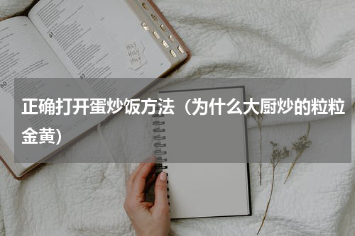 正确打开蛋炒饭方法（为什么大厨炒的粒粒金黄）