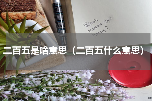 二百五是啥意思（二百五什么意思）