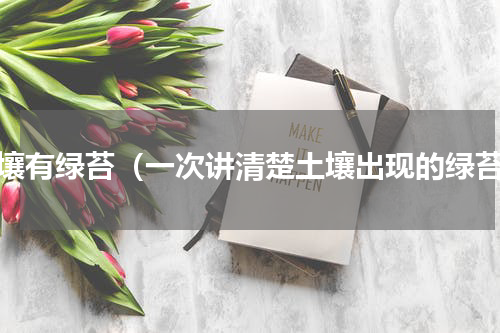 土壤有绿苔（一次讲清楚土壤出现的绿苔）