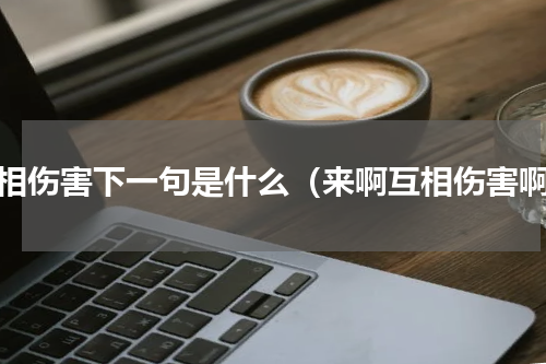 互相伤害下一句是什么（来啊互相伤害啊）