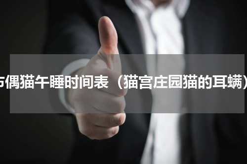 布偶猫午睡时间表（猫宫庄园猫的耳螨）