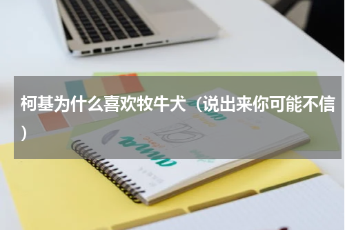 柯基为什么喜欢牧牛犬（说出来你可能不信）