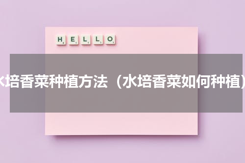 水培香菜种植方法（水培香菜如何种植）
