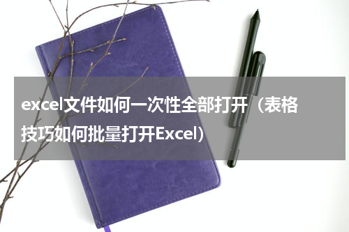 excel文件如何一次性全部打开（表格技巧如何批量打开Excel）