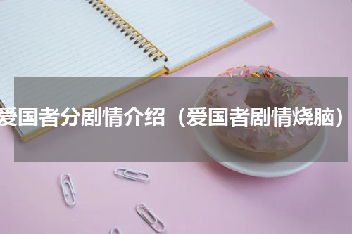 爱国者分剧情介绍（爱国者剧情烧脑）